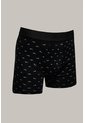 KOAJ BOXER KOAJ PIERNA LARGA 31328 1/26 de Koaj