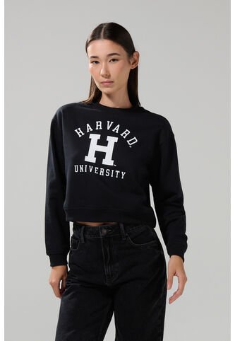 KOAJ BUZO CR KOAJ HATOL 28785 4/25 Koaj