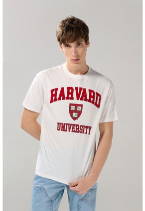 KOAJ CAMISETA KOAJ VATET 28519 4/25