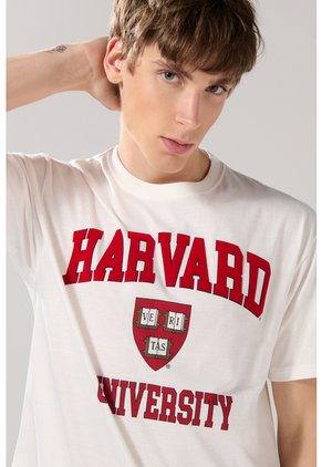 KOAJ CAMISETA KOAJ VATET 28519 4/25