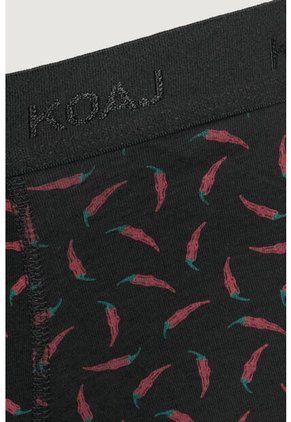 KOAJ BOXER KOAJ PIERNA LARGA 10229 3/24