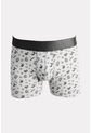 KOAJ BOXER KOAJ PM COBH  23645 2/25 de Koaj