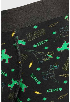 KOAJ BOXER KOAJ PM CLAK 23641 2/25