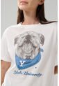 KOAJ CAMISETA KOAJ YADOG 28771 4/25 de Koaj