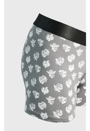 KOAJ BOXER KOAJ PM BORR 23646 2/25
