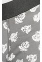 KOAJ BOXER KOAJ PM BORR 23646 2/25 de Koaj