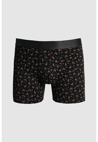 KOAJ BOXER KOAJ PIERNA LARGA 26112 3/25 Koaj