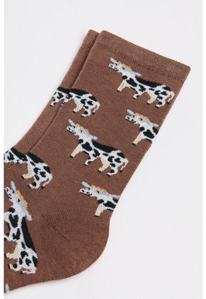 KOAJ MEDIAS KOAJ LARGA 30100 4/25