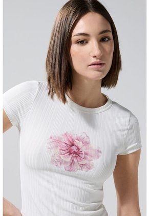 KOAJ CAMISETA KOAJ GROLEN 3/25