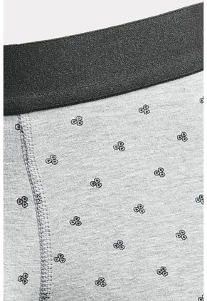 KOAJ BOXER KOAJ PIERNA LARGA 12466 3/24