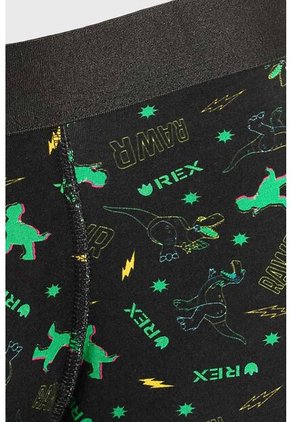 KOAJ BOXER KOAJ PM CLAK 23641 2/25