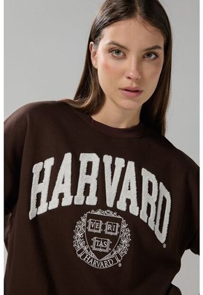 KOAJ BUZO KOAJ PARCHI 29313 4/25