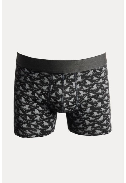KOAJ BOXER KOAJ PIERNA LARGA 22240 2/