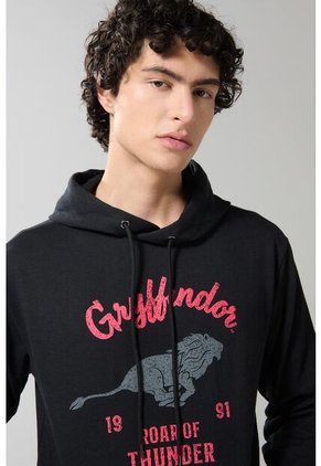 KOAJ BUZO CAPOTA KOAJ HIPPOG 19652 1/