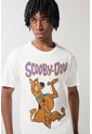 KOAJ CAMISETA KOAJ ZORGIO 19222 1/25 de Koaj