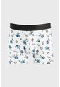 KOAJ BOXER KOAJ PM LUO 23642 2/25 de Koaj