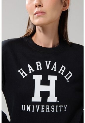 KOAJ BUZO CR KOAJ HATOL 28785 4/25