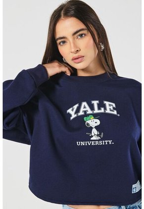 KOAJ SUETER KOAJ YTER 21010 1/25