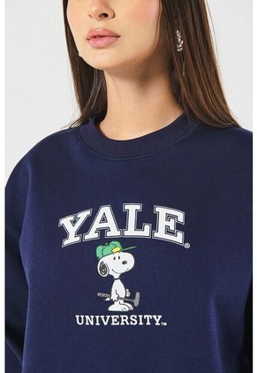 KOAJ SUETER KOAJ YTER 21010 1/25