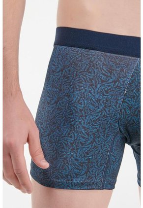 KOAJ-BOXER KOAJ TORRED 94 4/21