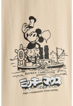 KOAJ BUZO CAPOTA KOAJ DIZNET 6609 2/2