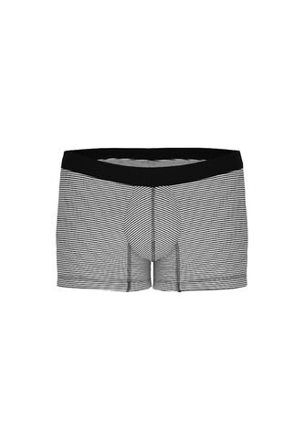 KOAJ BOXER KOAJ PIERNA CORTA 15651 4/24 Koaj