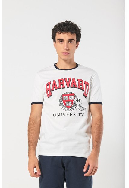 KOAJ CAMISETA KOAJ ZATURNOL 15866 4/24