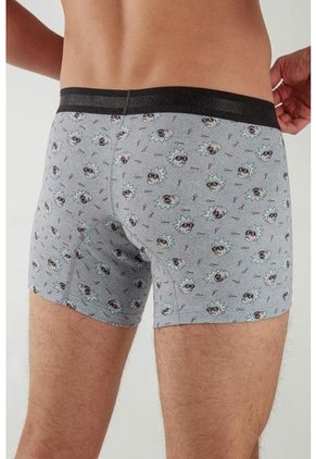 KOAJ-BOXER KOAJ TORRED 98 1/22