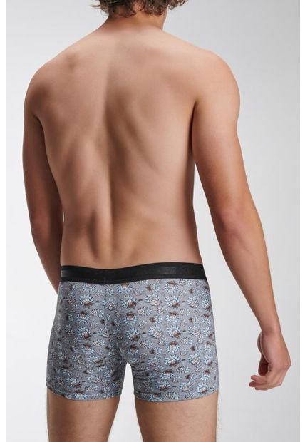 KOAJ-BOXER KOAJ CEFAS 104 1/22