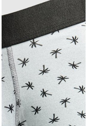 KOAJ BOXER KOAJ PIERNA LARGA 22912 2/25