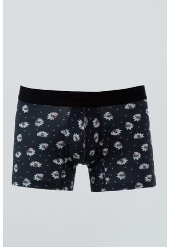 KOAJ-BOXER KOAJ TORRED 121 3/22 Koaj