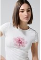 KOAJ CAMISETA KOAJ GROLEN 3/25 de Koaj