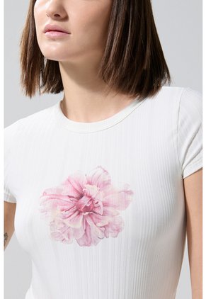 KOAJ CAMISETA KOAJ GROLEN 3/25