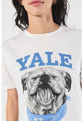 KOAJ CAMISETA KOAJ ZAIZ 1576 4/24