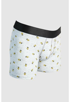 KOAJ BOXER KOAJ PIERNA MEDIA 26123 3/25