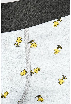 KOAJ BOXER KOAJ PIERNA MEDIA 26123 3/25