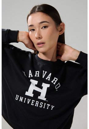 KOAJ BUZO CR KOAJ HATOL 28785 4/25