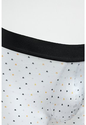 KOAJ BOXER KOAJ PIERNA CORTA 30810 1/26