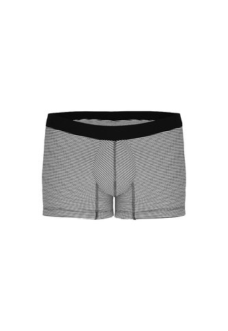 KOAJ BOXER KOAJ PIERNA CORTA 15651 4/24 Koaj
