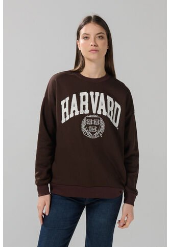 KOAJ BUZO KOAJ PARCHI 29313 4/25 Koaj