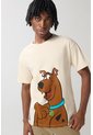 KOAJ CAMISETA KOAJ FANPER 19226 1/25 de Koaj