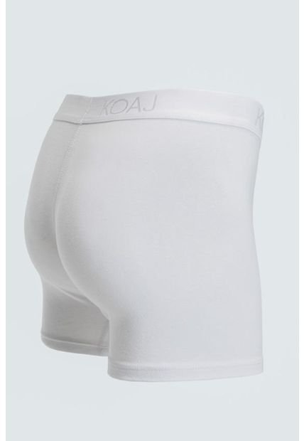 KOAJ-BOXER KOAJ FLATCEFAS 18 3/22