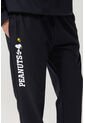 KOAJ PANTALON KOAJ JOGGER TAPUH 25451 3/25 de Koaj