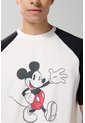 KOAJ CAMISETA KOAJ NELLVON 26092 3/25 de Koaj