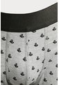 KOAJ BOXER KOAJ PIERNA MEDIA 20452 1/25 de Koaj