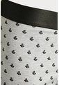 KOAJ BOXER KOAJ PIERNA MEDIA 20452 1/25 de Koaj