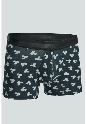 KOAJ BOXER KOAJ TORRED 111 2/22