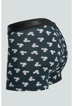 KOAJ BOXER KOAJ TORRED 111 2/22