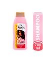 Shampoo Konzil Suavidad & Brillo 2 X 700 Ml de Konzil