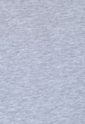 Camiseta LACOSTE Gris